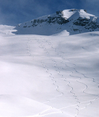 'Skiers Alta' or 'Winter Alta'?